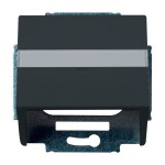 Busch-Jaeger 2CKA001724A4253 Zentralscheibe mit Tragring mit Beschriftungsfeld Kommunikations-Steckverbinder 