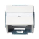 Busch-Jaeger 2CKA001724A4307 Zentralscheibe mit Tragring mit Beschriftungsfeld Kommunikations-Steckverbinder 