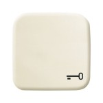 Busch-Jaeger 2CKA001731A0298 Wippe mit Aufdruck Schlüssel 