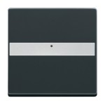 Busch-Jaeger 2CKA001731A1552 Wippe mit Beschriftungsfeld 