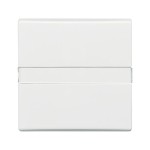 Busch-Jaeger 2CKA001731A1643 Wippe mit Beschriftungsfeld 