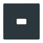 Busch-Jaeger 2CKA001731A1700 Wippe offen für Symbol 