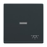 Busch-Jaeger 2CKA001751A2931 Wippe mit Aufdruck mit kleiner transparenter Kalotte 