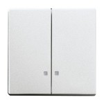 Busch-Jaeger 2CKA001751A3125 Wippe Wippe-Serien-Kontrollschalter 