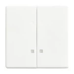 Busch-Jaeger 2CKA001751A3134 Wippe Wippe-Serien-Kontrollschalter 