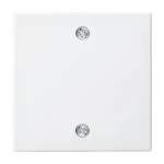 Busch-Jaeger 2CKA001753A0224 Zentralscheibe für Zugschalter, mit Zugschnurbetätigung alpinweiß - 