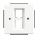Busch-Jaeger 2CKA001753A0396 Zentralscheibe Modular-Jack-Einsatz 2-fach studioweiß matt - Plattform 63 