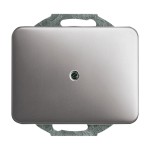 Busch-Jaeger 1742-20 Blindzentralscheibe mit Tragring platin 2CKA001753A1118 