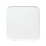 Busch-Jaeger 2CKA001753A2389 Blindzentralscheibe Reflex SI/SI Linear 