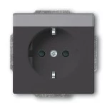 Busch-Jaeger 2CKA002011A3802 SCHUKO® Steckdosen-Einsatz mit Beschriftungsfeld anthrazit - Plattform 63 