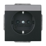 Busch-Jaeger 2CKA002011A3884 SCHUKO® Steckdosen-Einsatz mit Beschriftungsfeld schwarz matt - Plattform 63 