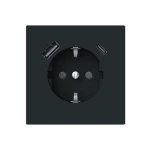 Busch-Jaeger 2CKA002011A6322 SCHUKO® USB-Steckdosen-Einsatz Safety+ mit USB A/C schwarz matt - Busch-art 