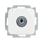 Busch-Jaeger 2CKA002018A1289 SCHUKO® Steckdosen-Einsatz mit Klappdeckel , Zylinderschloss/abschließbar, 