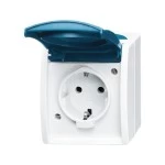 Busch-Jaeger 2CKA002083A0818 SCHUKO® Steckdose mit Klappdeckel 16 A grau/blaugrün - ocean® 