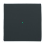 Busch-Jaeger 2CKA006220A0032 Wippe 1-fach, ohne Bedruckung 