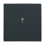 Busch-Jaeger 2CKA006220A0035 Wippe 1-fach, mit Symbol Licht 