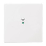 Busch-Jaeger 2CKA006220A0037 Wippe 1-fach, mit Symbol Licht 