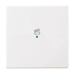 Busch-Jaeger 2CKA006220A0043 Wippe 1-fach, mit Symbol Szene 