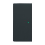 Busch-Jaeger 2CKA006220A0047 Wippe 2-fach links/rechts, ohne Bedruckung 