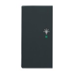 Busch-Jaeger 2CKA006220A0050 Wippe 2-fach links, mit Symbol Licht 