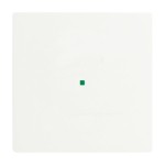 Busch-Jaeger 2CKA006220A0481 Wippe 1-fach, ohne Bedruckung 