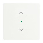 Busch-Jaeger 2CKA006220A0483 Wippe 1-fach, mit Symbol Jalousie 