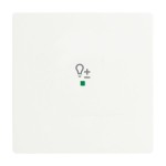 Busch-Jaeger 2CKA006220A0485 Wippe 1-fach, mit Symbol Dimmer 