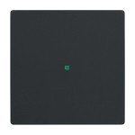 Busch-Jaeger 2CKA006220A0498 Wippe 1-fach, ohne Bedruckung 