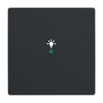 Busch-Jaeger 2CKA006220A0499 Wippe 1-fach, mit Symbol Licht 