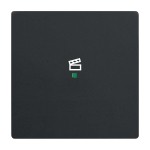 Busch-Jaeger 2CKA006220A0501 Wippe 1-fach, mit Symbol Szene 