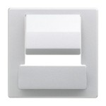 Busch-Jaeger 2CKA006400A0058 Zentralscheibe für Busch-powerDock 