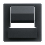 Busch-Jaeger 2CKA006400A0063 Zentralscheibe für Busch-powerDock 