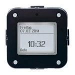 Busch-Jaeger 2CKA006410A0398 Standard-Timer-Bedienelement 