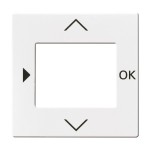 Busch-Jaeger 2CKA006430A0306 Zentralscheibe 