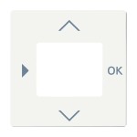 Busch-Jaeger 2CKA006430A0388 Zentralscheibe mit Aufdruck Symbole Pfeile und OK für Zeitschaltuhr 