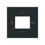 Busch-Jaeger 2CKA006430A0453 Zentralscheibe mit Aufdruck Symbole Pfeile und OK für Zeitschaltuhr 