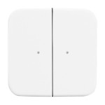 Busch-Jaeger 2CKA006730A0047 Wandsender WaveLINE 2 Kanal 