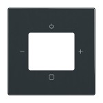 Busch-Jaeger 2CKA008200A0248 Zentralscheibe mit Aufdruck Busch-Radio anthrazit - Plattform 63 