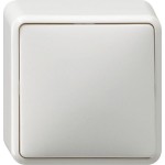 Gira 010713 Wippschalter 10AX 250V Kreuzschalter Reinweiß 