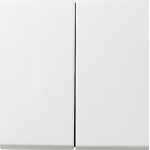 Gira 0128112 Tastschalter 10AX 250V mit Wippe 2-fach Wechselschalter 2-fach Reinweiß glänzend 