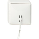 Gira 014613 Zugschalter AusWe AP Reinweiß 