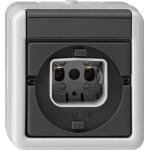 GIRA 016130 Lichtsignal Bajonett WG AP Grau 