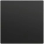 Gira 026874 Blindabdeckung mit Tragring in Schwarz matt lackiert passend für System 70 Programmübergreifend (Zubehör) 