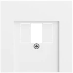 Gira 027672 Abdeckung für TAE und USB in Reinweiß seidenmatt lackiert (Zubehör) 