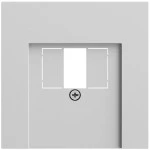 Gira 027676 Abdeckung für TAE- und USB-Anschlüsse in Grau matt lackiert passend für System 70 (Zubehör) 