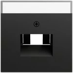 Gira 028474 Abdeckung mit Beschriftungsfeld für UAE/IAE (ISDN)- und Netzwerk-Anschlussdosen (Zubehör) 