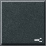 Gira 028767 Wippe mit Symbol Tür Anthrazit 