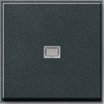 Gira 029067 Wippe mit Kontrollfenster Anthrazit 