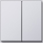 Gira 029566 Wippe 2-fach Reinweiß 