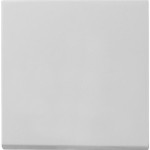 Gira 0296015 Wippe Grau matt 